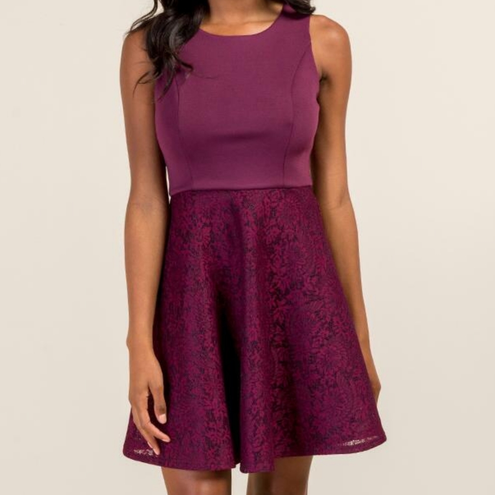 Francesca's Leila Scuba Purple Lace Sleeveless Fit and Flare Dress Medium New